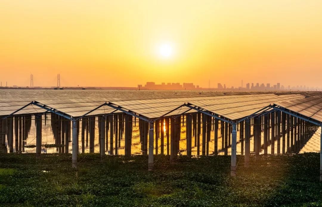 Beyond Success - www.kaiyun.com Achieved a Preferred Scale of 1120 MW in Jiangxi